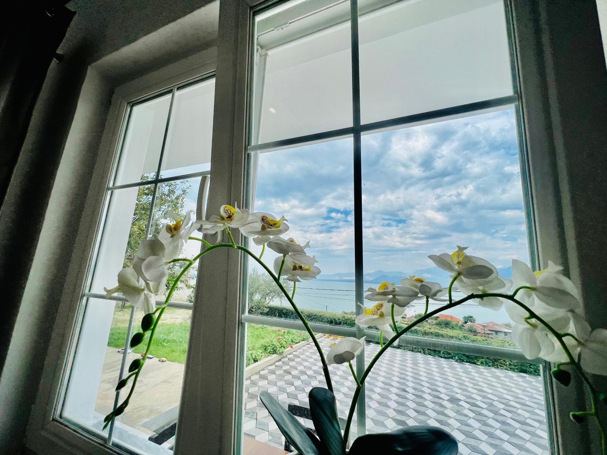 Iart Residence Široka 外观 照片